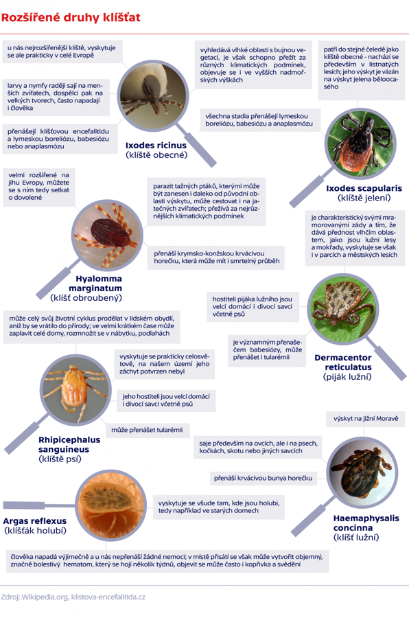 Rozšířené druhy klíšťat